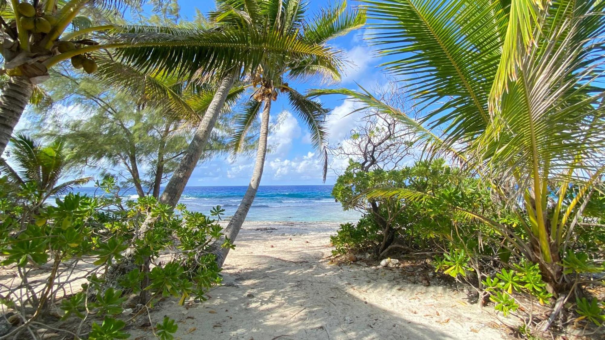 Moorea Chill And Beach Lodge Teavaro Zewnętrze zdjęcie